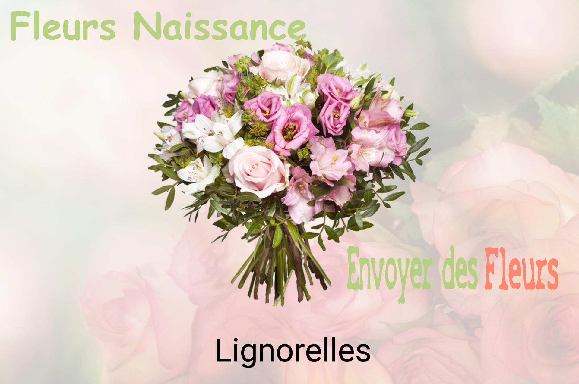Bouquet de fleurs de naissance livré à Lignorelles